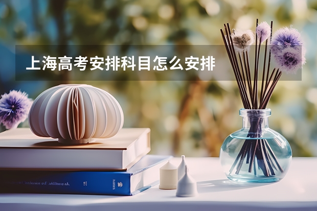 上海高考安排科目怎么安排